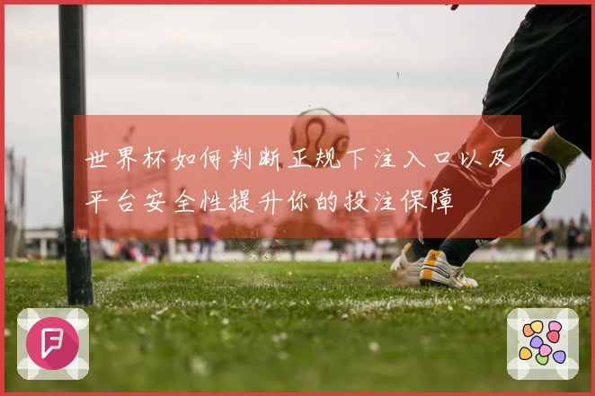 世界杯如何判断正规下注入口以及平台安全性提升你的投注保障